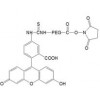 FITC-PEG-NHS 荧光素-聚乙二醇-琥珀酰亚胺碳酸酯