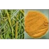 南箭牌优质产品呋喃西林，CAS号59-87-0