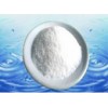 绿茶提取物98%