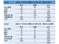 MSAP技术服务图3