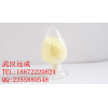 盐酸左旋咪唑CAS号: 16595-80-5原料厂家现货供应
