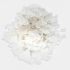 淫羊藿苷  489-32-7