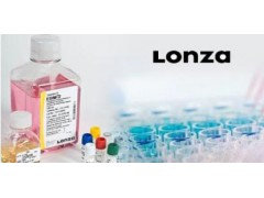 LONZA EGM-2 Bulletkit 培养基图1