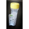 小鼠白介素6(IL-6)ELISA试剂盒使用说明