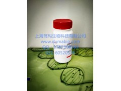 猴小泛素相关修饰蛋白2 (SUMO2)ELISA试剂盒图2