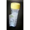 小鼠白介素1受体I(IL-1R1)ELISA试剂盒供应商