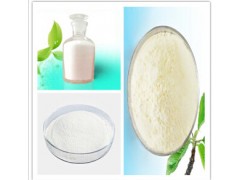 武汉远成厂家供应，62613-82-5 价格公道，质量很赞奥拉西坦图2