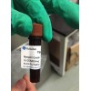 试验用58-60-6价格sigma嘌呤霉素氨基核苷P7130