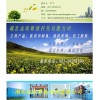 高含量五味子提取物|18872220714|优质|闪电发货|