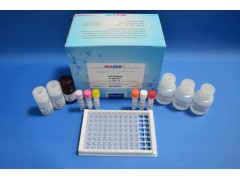 维生素B7（生物素）检测试剂盒图3