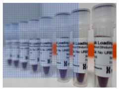 6×RNA Loading Buffer图1