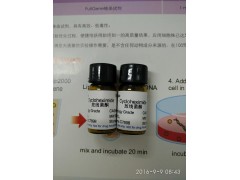 厂家直销66-81-9放线菌酮C7598正品进口图2