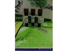 1.5-二磷酸-D-核酮糖RUBP图3