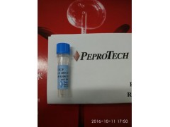 生物级RUBP价格1.5-二磷酸核酮糖R0878现货图3