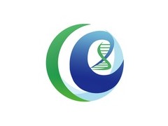 MDA-MB-231人乳腺癌细胞图3