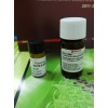 细胞筛选中sigma嘌呤霉素价格Puromycin原厂P8833