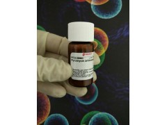 肾病研究专用58-60-6现货sigma氨基核苷嘌呤霉素厂家图3