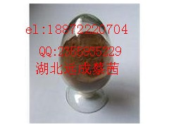 供应除草剂【二甲戊灵】厂家直销18872220661图2
