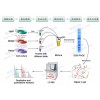 SILAC实验技术服务