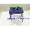大鼠肌酐(Cr)ELISA试剂盒 Rat Creatinine,Cr ELISA Kit