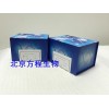 人血管紧张素Ⅱ受体1抗体(进口ATⅡR1) ELISA试剂盒 北京代测