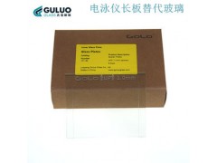Western Blot实验 GOLO适配美国bio-rad电泳仪配套制胶板 厚玻璃板图2