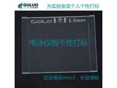Western Blot实验 GOLO适配美国bio-rad电泳仪配套制胶板 厚玻璃板图3