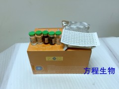 小鼠抗核膜糖蛋白210抗体(gp210)ELISA试剂盒说明书 北京现货图2