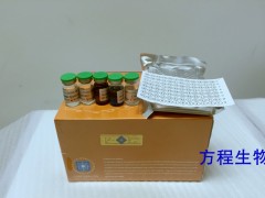 小鼠抗IgE受体抗体ELISA试剂盒说明书，北京现货