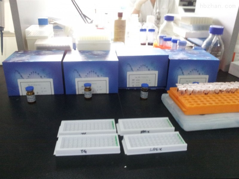 小鼠抗胰蛋白酶(AT)ELISA试剂盒说明书 北京现货