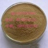 供应韭菜籽提取物 厂家现货