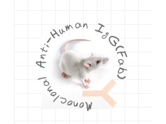 小鼠抗人IgG（Fab）图1