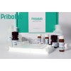 Pribolab伏马毒素B1 ELISA 检测试剂盒