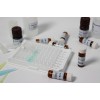 展青霉素(Patulin)检测试剂盒