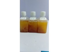 新西兰进口血源新生牛血清图2