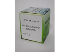 绵羊肺炎支原体PCR检测试剂盒图2