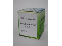穿透支原体PCR检测试剂盒图2