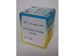 穿透支原体PCR检测试剂盒图3