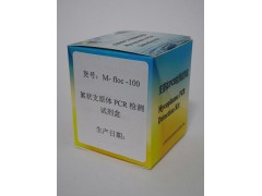 絮状支原体PCR检测试剂盒图3