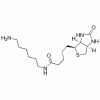 65953-56-2 Biotin-1.6已二胺