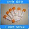 金黄色葡萄球菌CMCC(B)26003 冻干粉