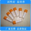 绿脓假单胞菌[CMCC(B)10104][铜绿假单胞菌][CMCC原装0代菌株]