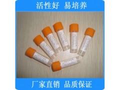 枯草芽孢杆菌[CMCC(B)63501]（定量菌株）冻干粉（50-100cfu）图1