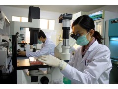松果体素厂家现货供应CAS号：73-31-4图2