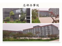 间硝基苯甲酸钠现货厂直销随时发货 速度 1kg可订 要货速度图3