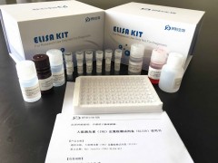 大鼠骨成型蛋白2 (BMP-2)ELISA试剂盒图1