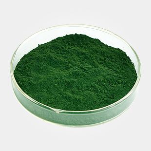 叶绿素铜钠盐 CAS号11006-34-1