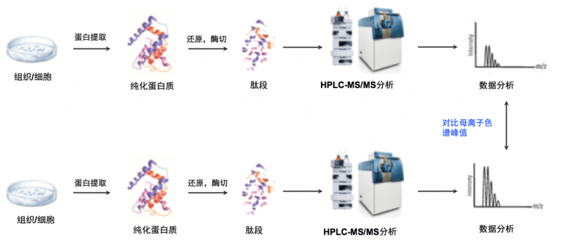 Label Free定量蛋白组学服务样品要求