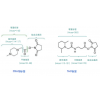 TMT/iTRAQ/MultiNotch定量蛋白组学分析