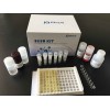 新城疫病毒抗体定性检测试剂盒